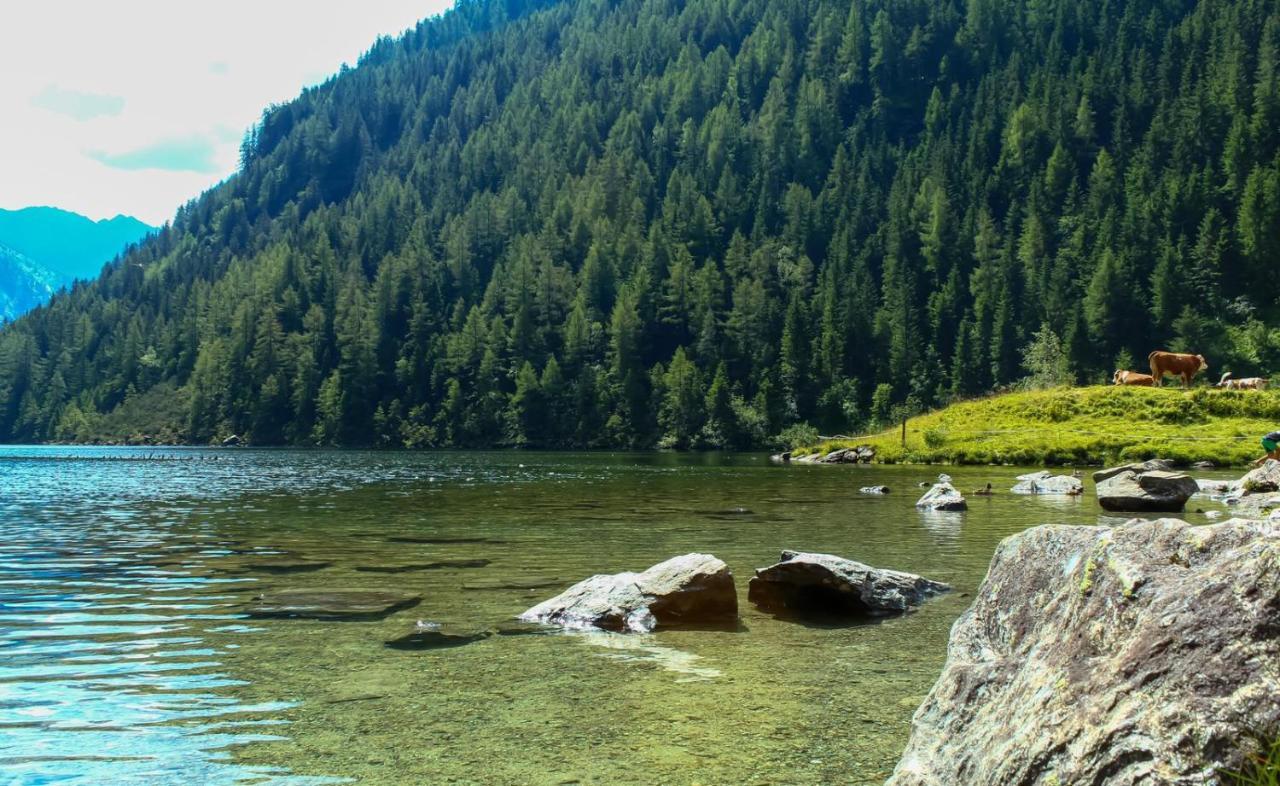 Ferienwohnungen Reinbacher - Primps Schladming Ngoại thất bức ảnh