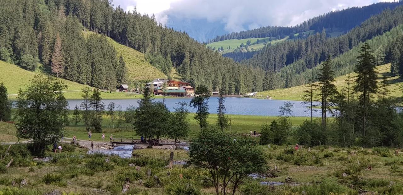 Ferienwohnungen Reinbacher - Primps Schladming Ngoại thất bức ảnh