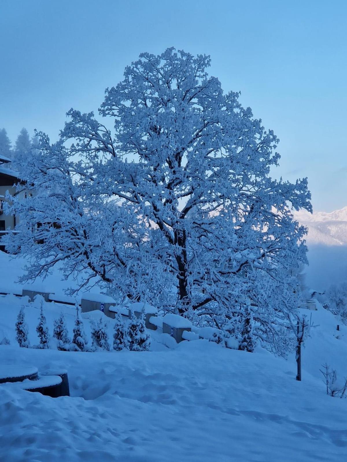 Ferienwohnungen Reinbacher - Primps Schladming Ngoại thất bức ảnh