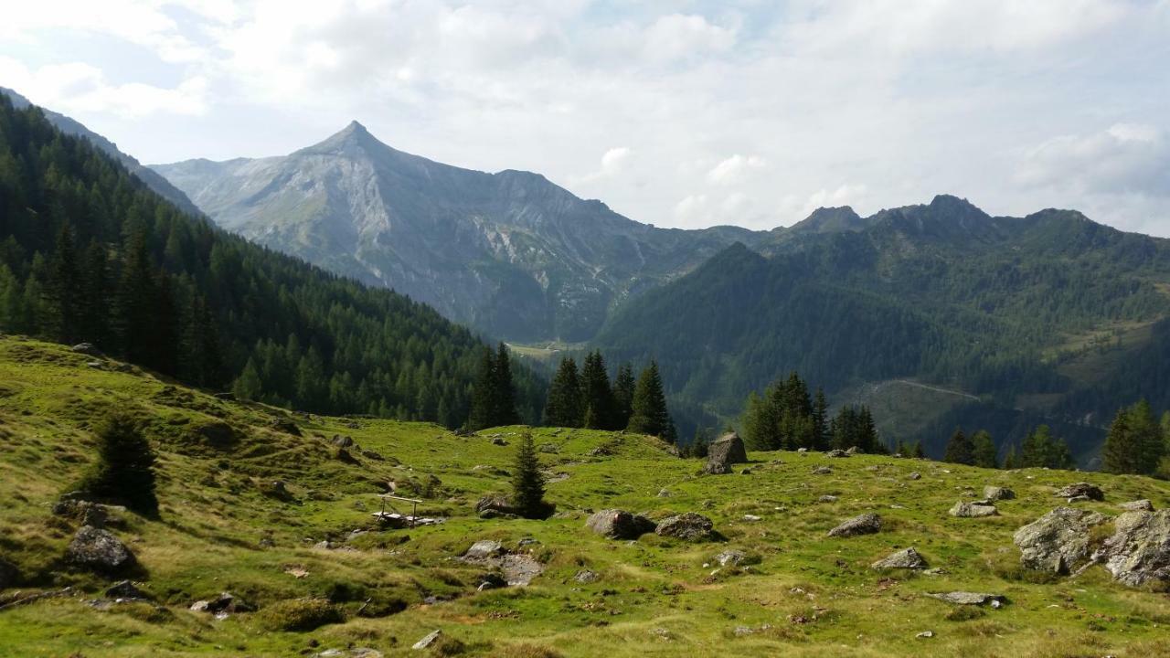 Ferienwohnungen Reinbacher - Primps Schladming Ngoại thất bức ảnh