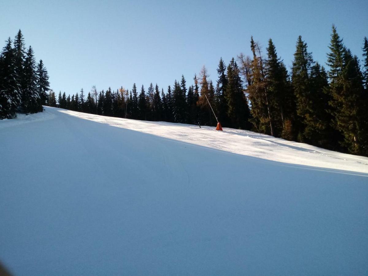 Ferienwohnungen Reinbacher - Primps Schladming Ngoại thất bức ảnh